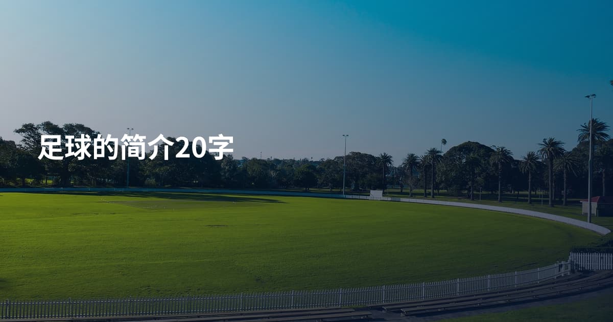足球的简介20字