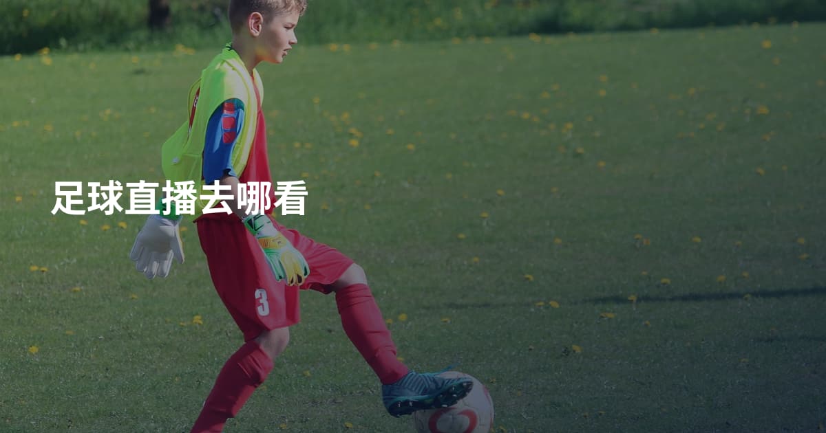 足球直播去哪看
