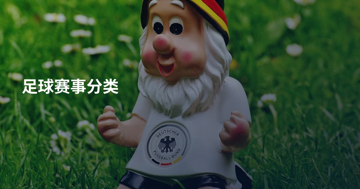 足球赛事分类