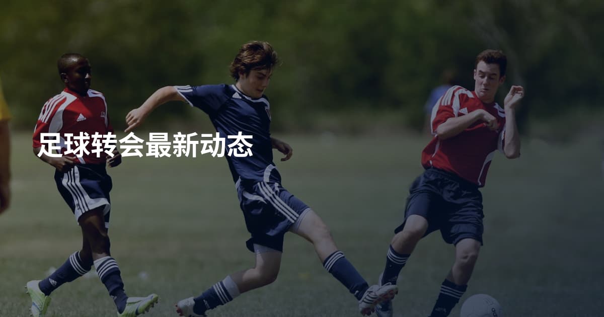 足球转会最新动态