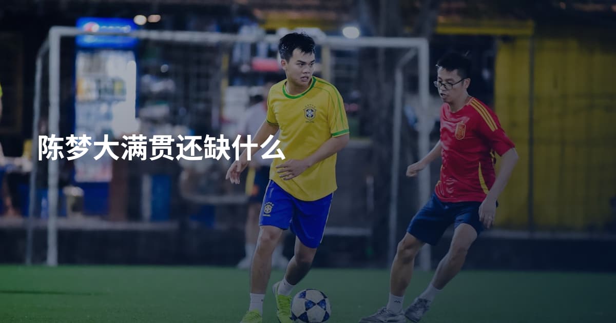 陈梦大满贯还缺什么