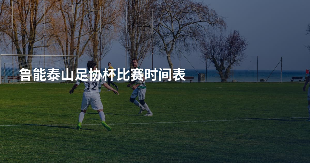 鲁能泰山足协杯比赛时间表