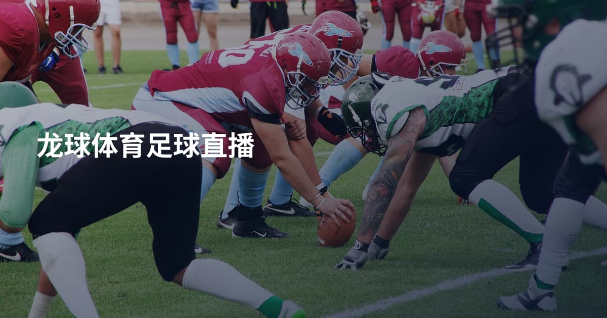 龙球体育足球直播