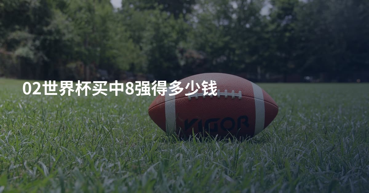 02世界杯买中8强得多少钱