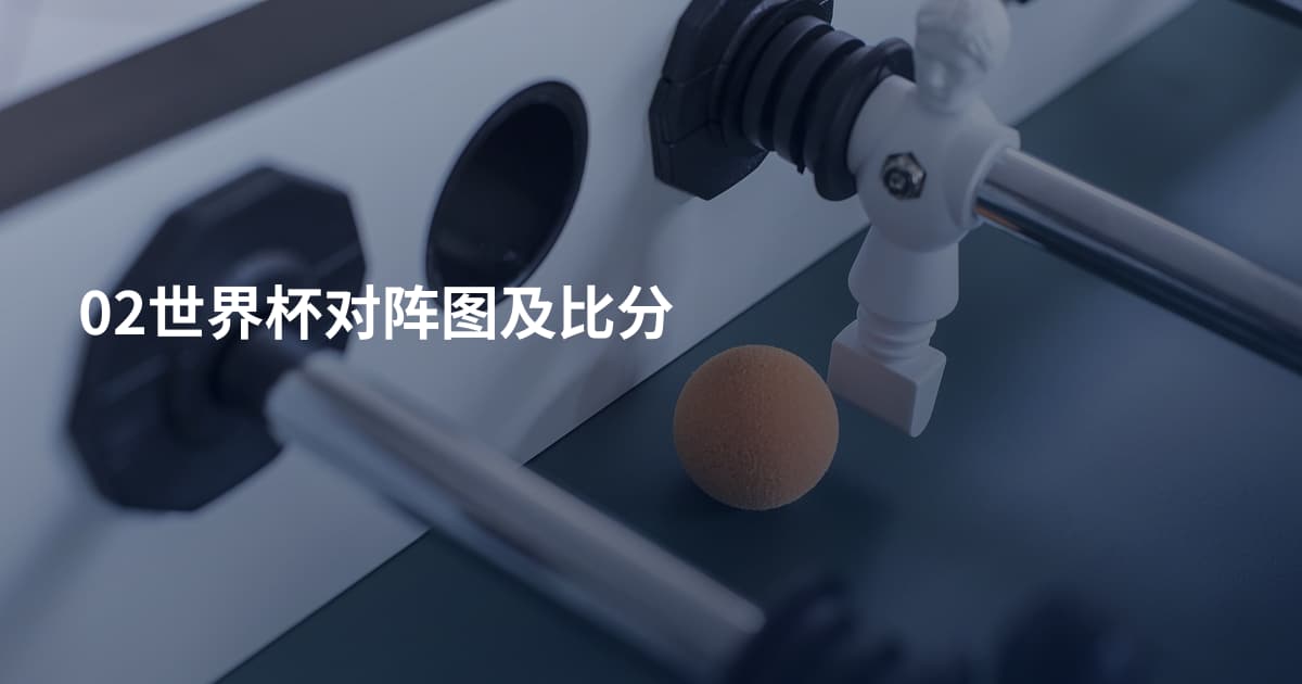 02世界杯对阵图及比分