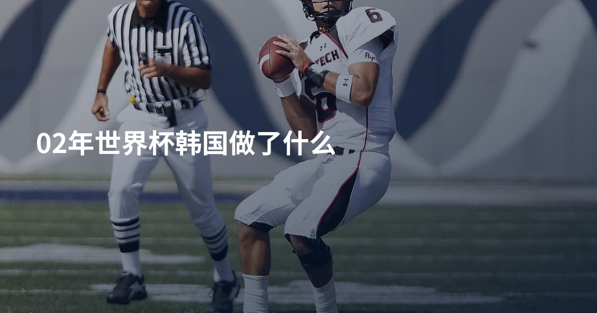02年世界杯韩国做了什么