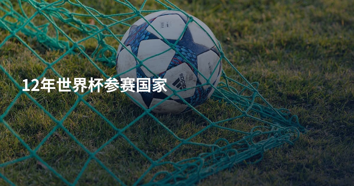12年世界杯参赛国家