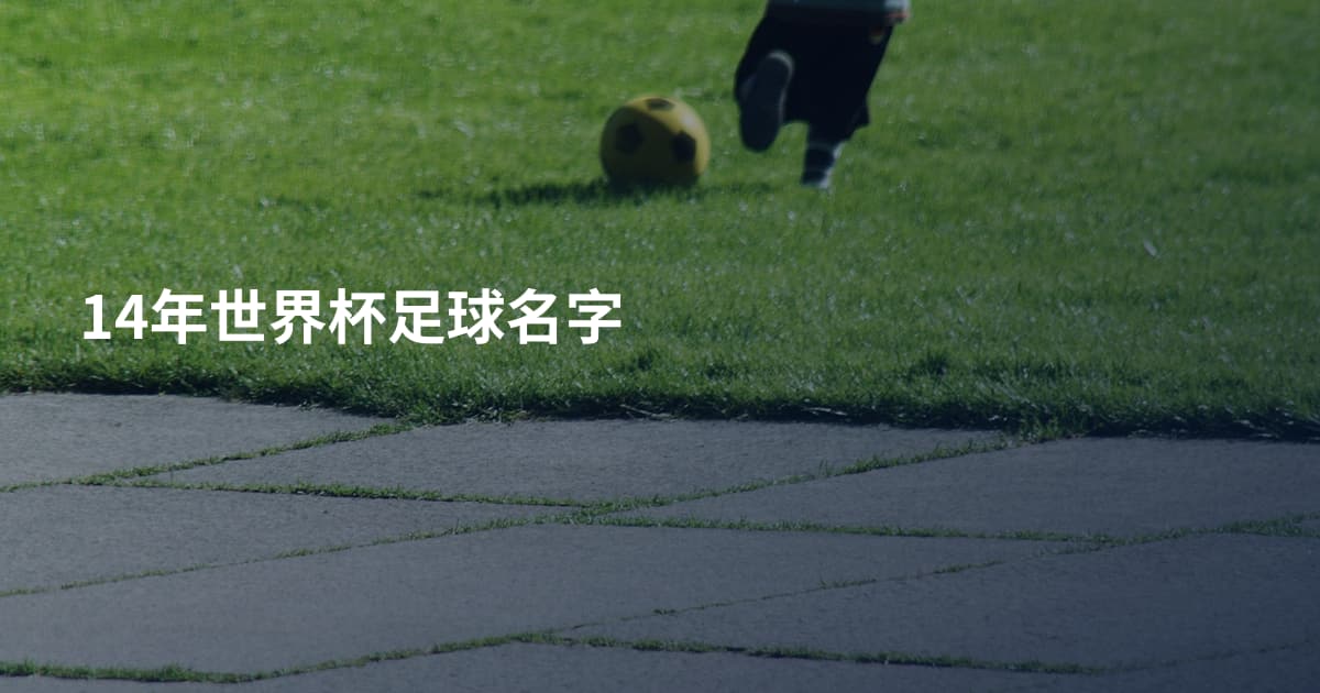 14年世界杯足球名字