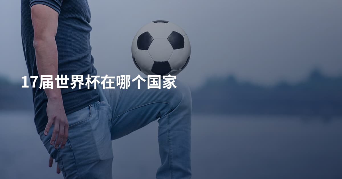 17届世界杯在哪个国家