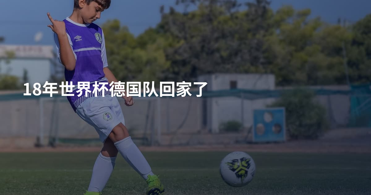 18年世界杯德国队回家了