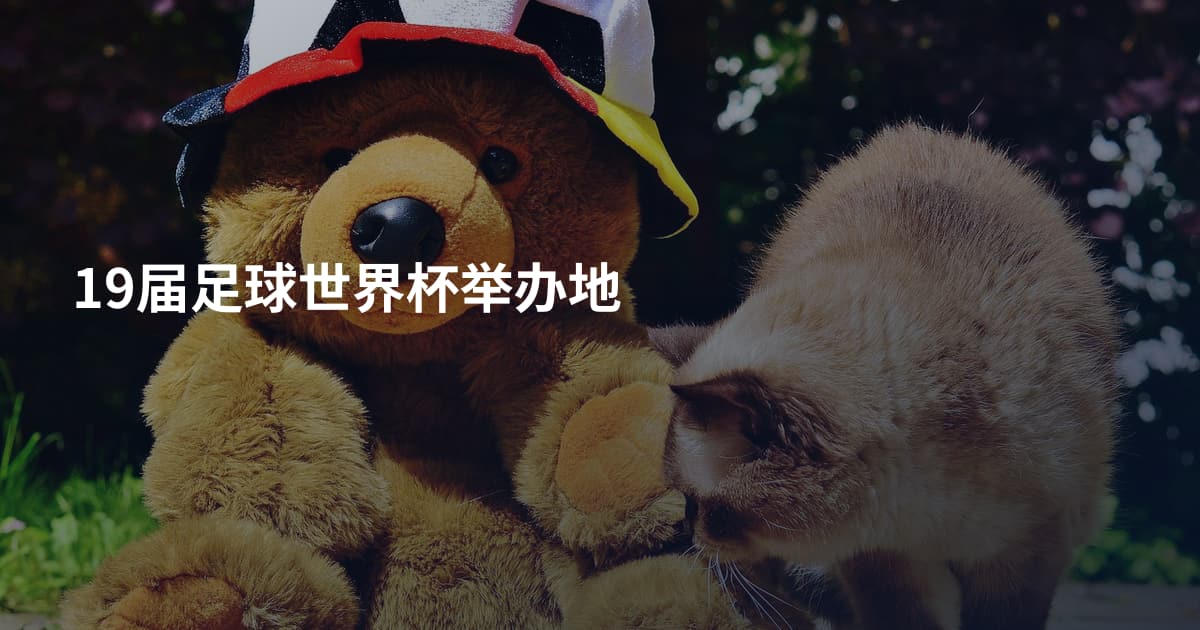 19届足球世界杯举办地