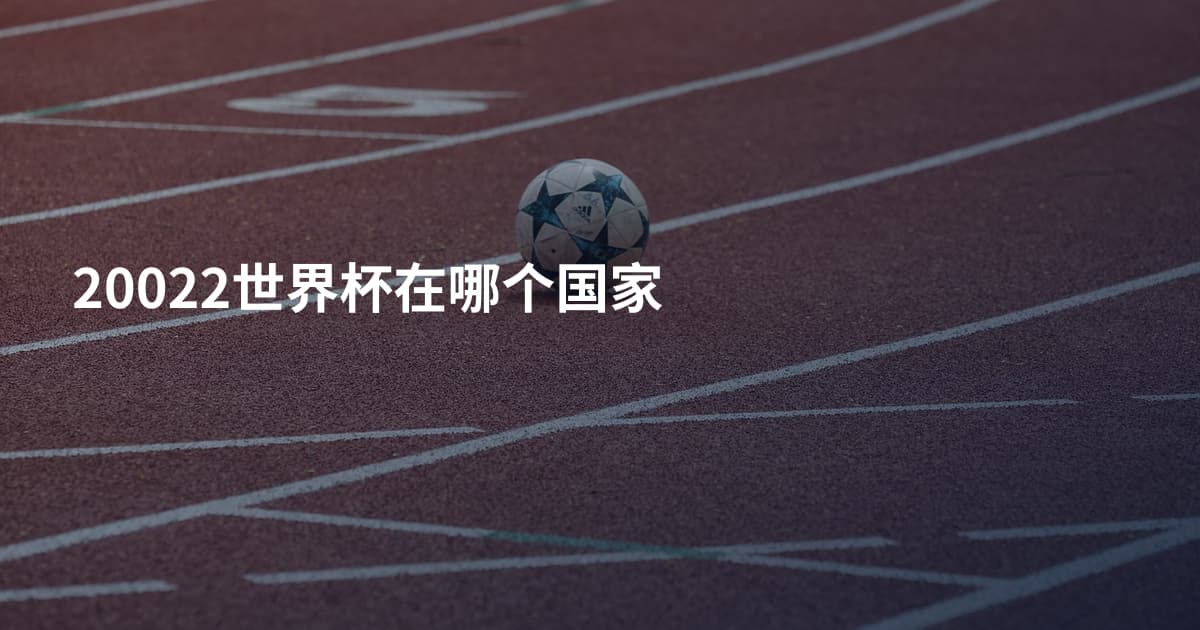 20022世界杯在哪个国家