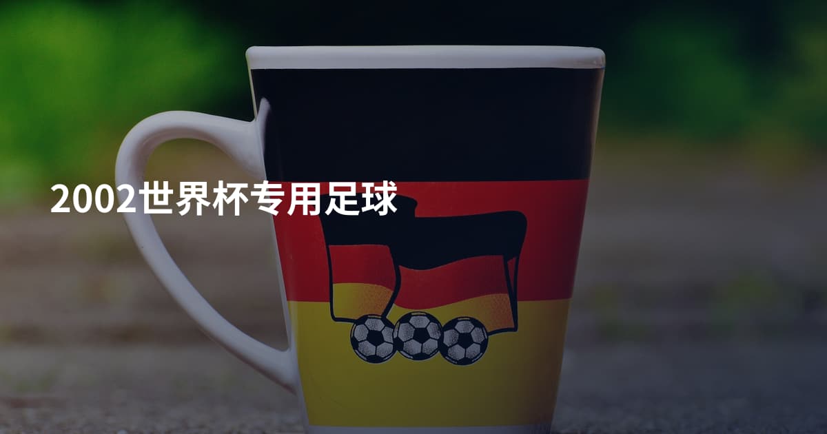 2002世界杯专用足球