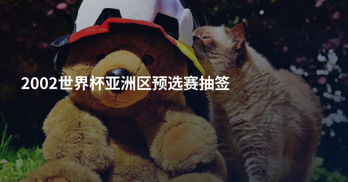 2002世界杯亚洲区预选赛抽签