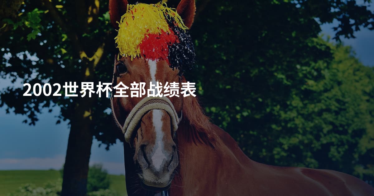 2002世界杯全部战绩表