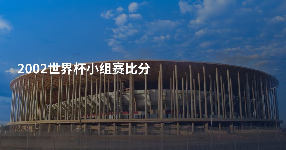 2002世界杯小组赛比分