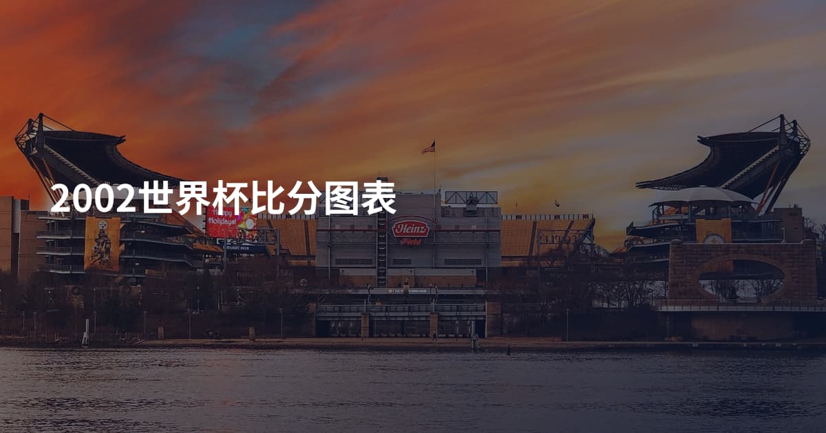 2002世界杯比分图表