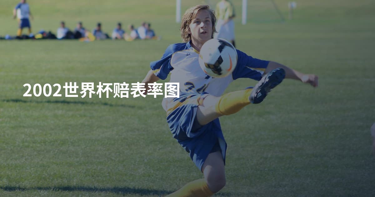 2002世界杯赔表率图