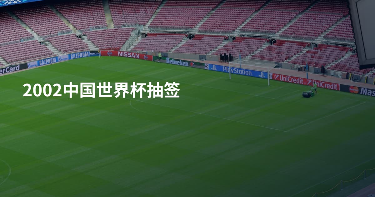2002中国世界杯抽签