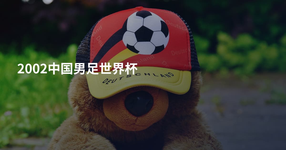 2002中国男足世界杯
