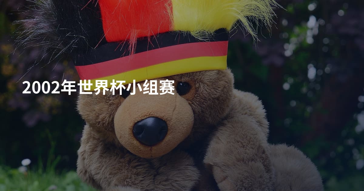 2002年世界杯小组赛