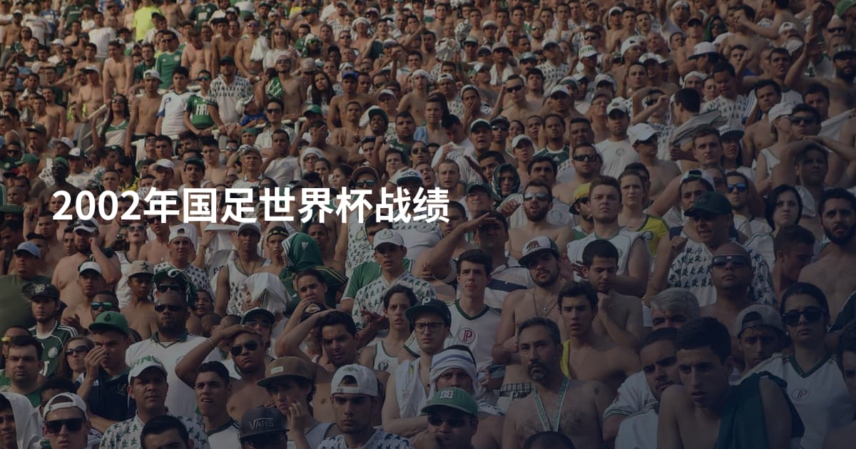 2002年国足世界杯战绩