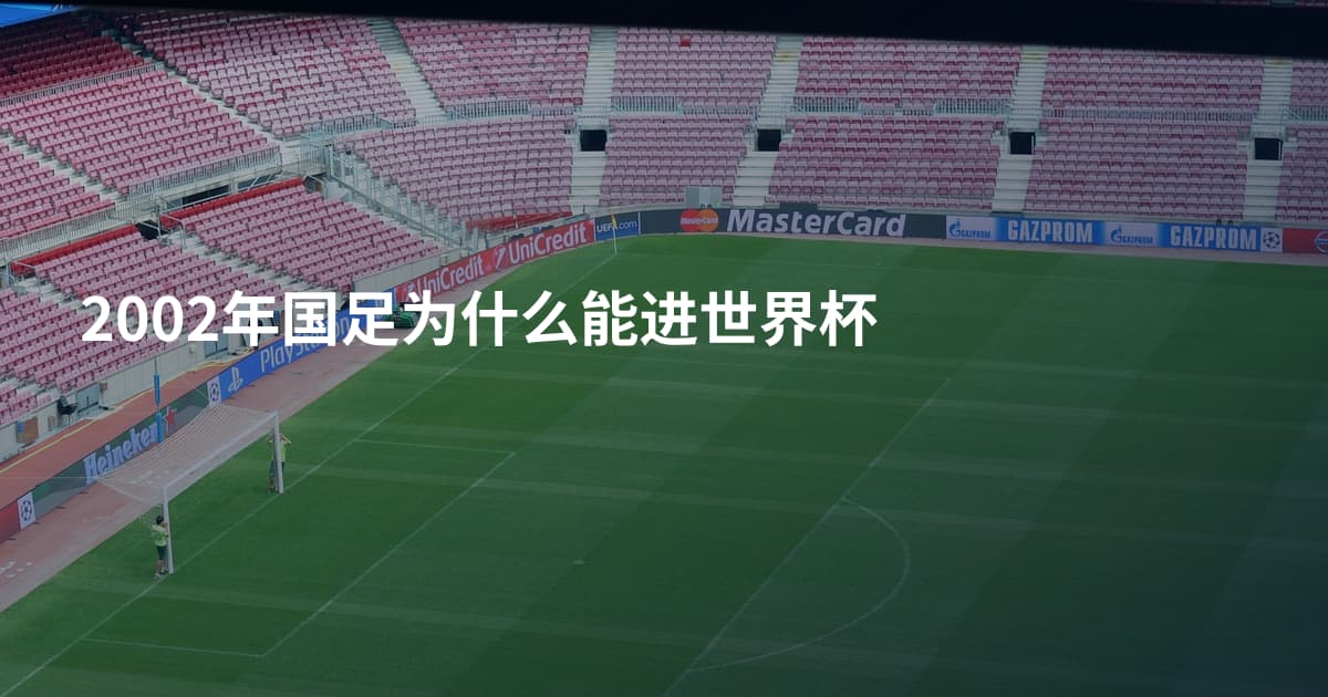 2002年国足为什么能进世界杯
