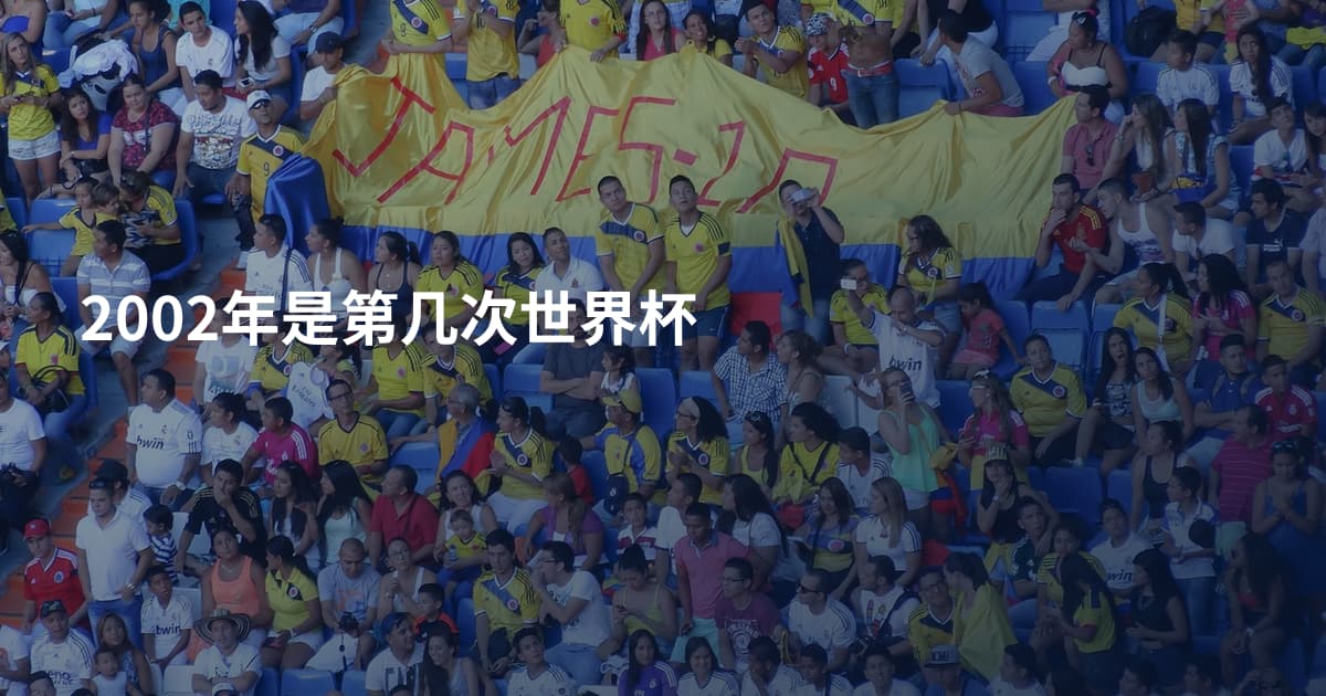 2002年是第几次世界杯