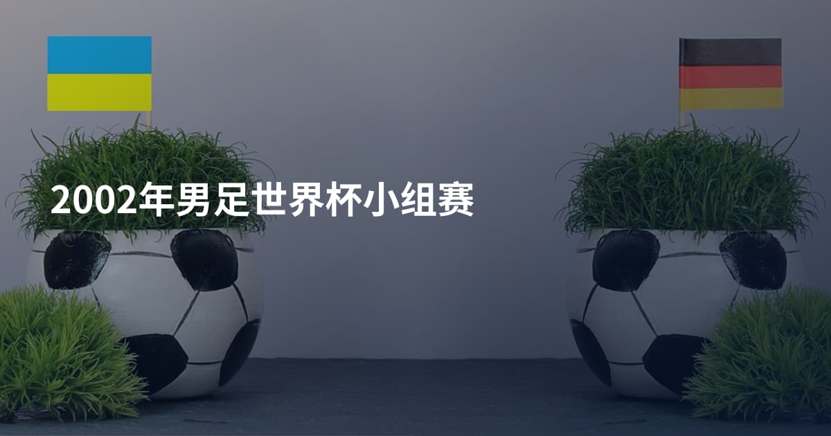 2002年男足世界杯小组赛