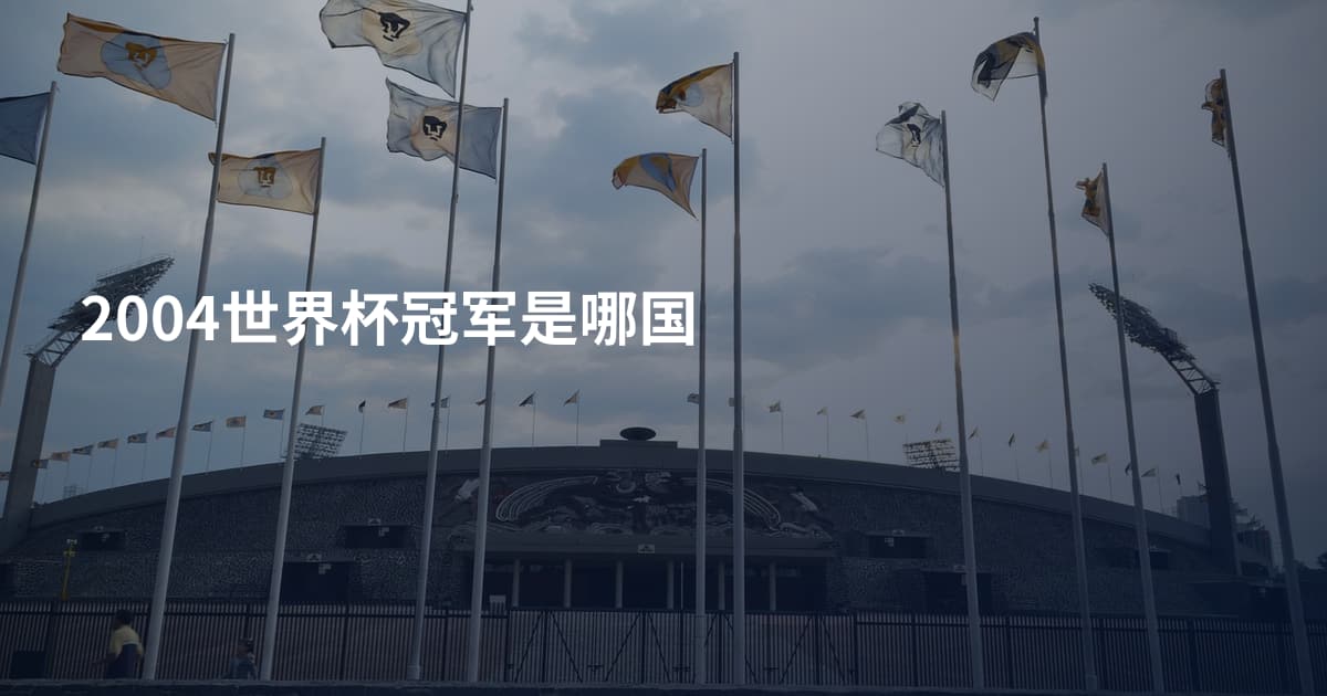 2004世界杯冠军是哪国