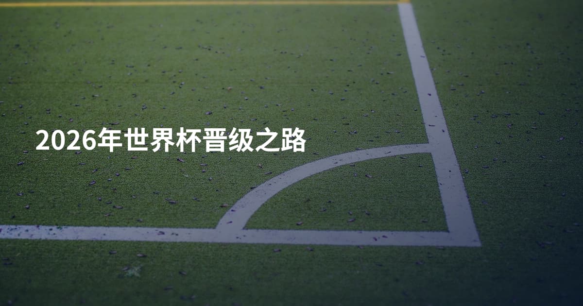 2026年世界杯晋级之路