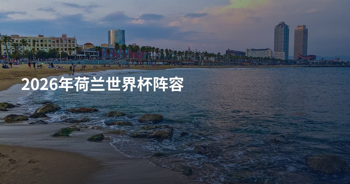 2026年荷兰世界杯阵容