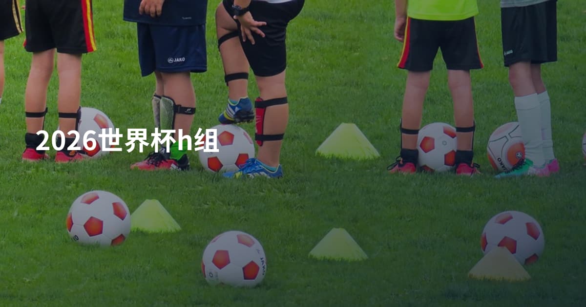 2026世界杯h组