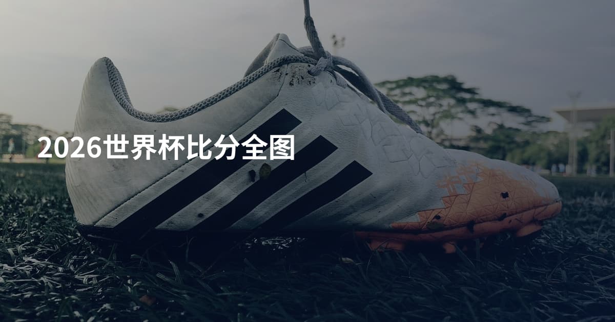 2026世界杯比分全图