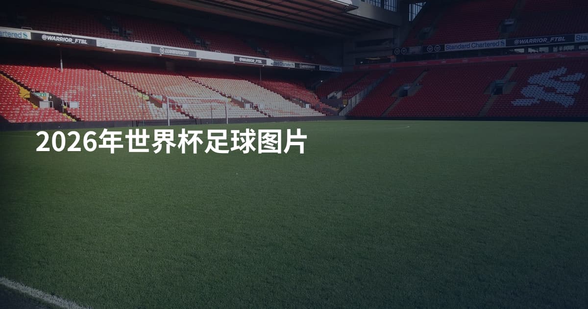 2026年世界杯足球图片