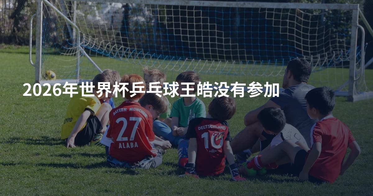 2026年世界杯乒乓球王皓没有参加
