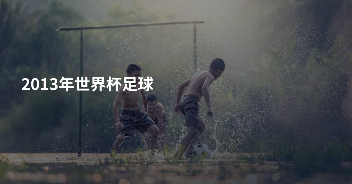 2013年世界杯足球