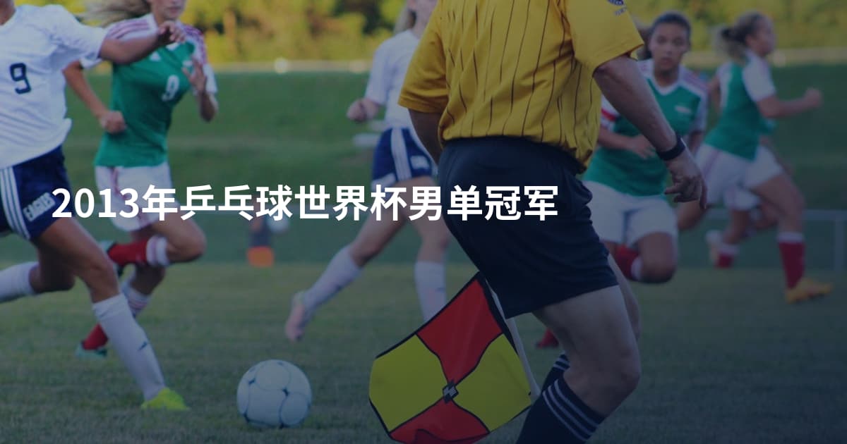2013年乒乓球世界杯男单冠军
