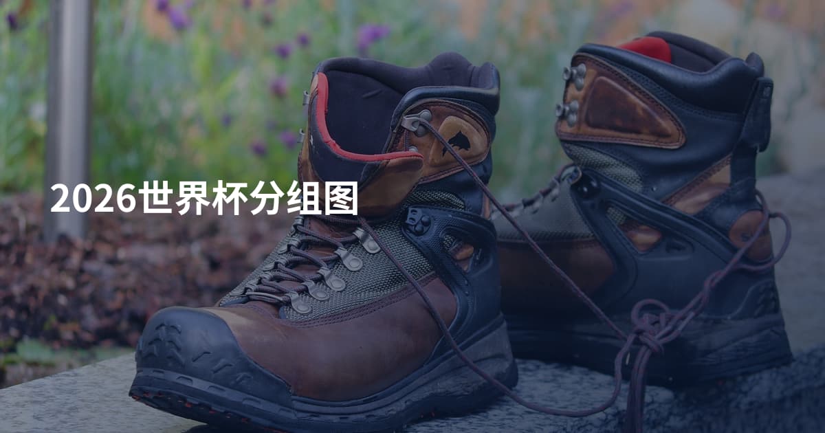 2026世界杯分组图