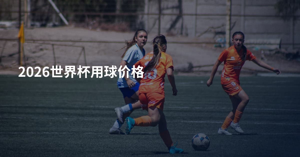 2026世界杯用球价格
