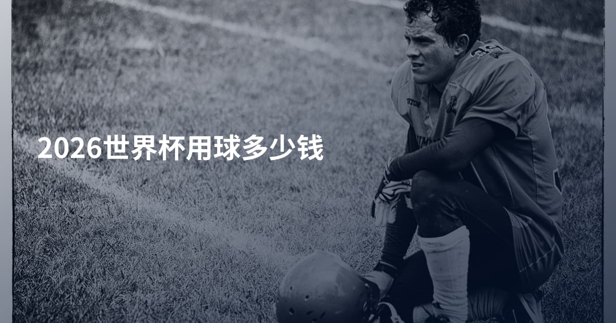 2026世界杯用球多少钱