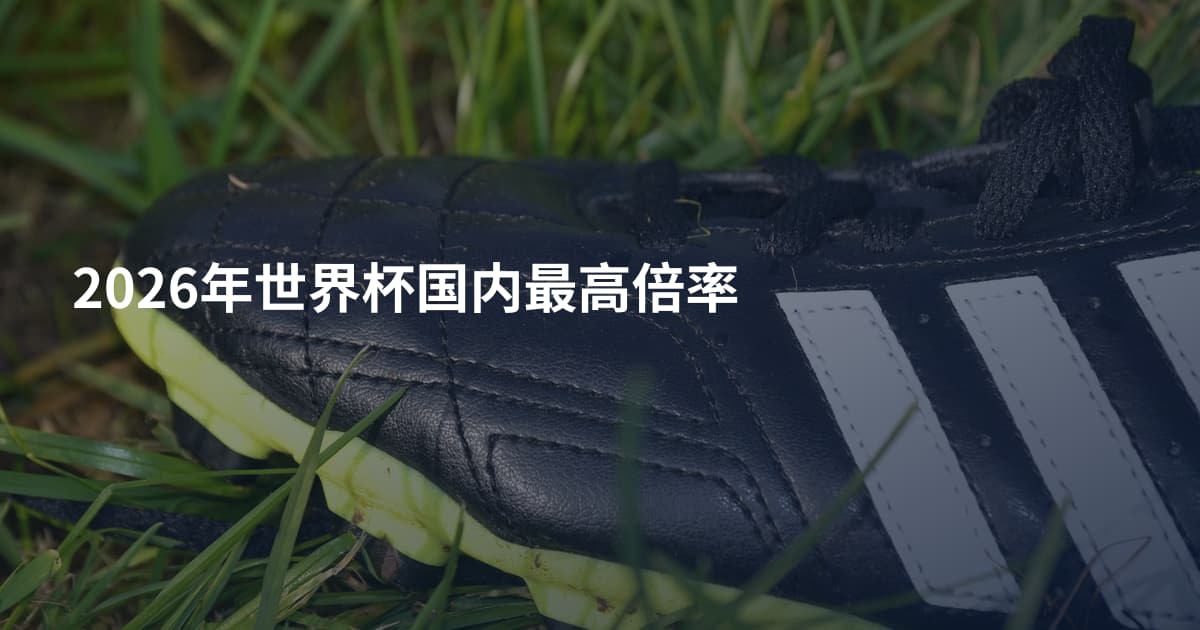2026年世界杯国内最高倍率
