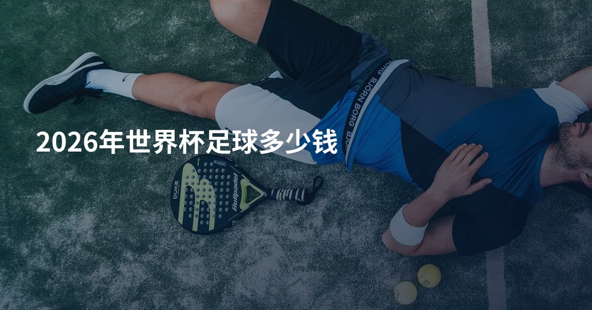 2026年世界杯足球多少钱