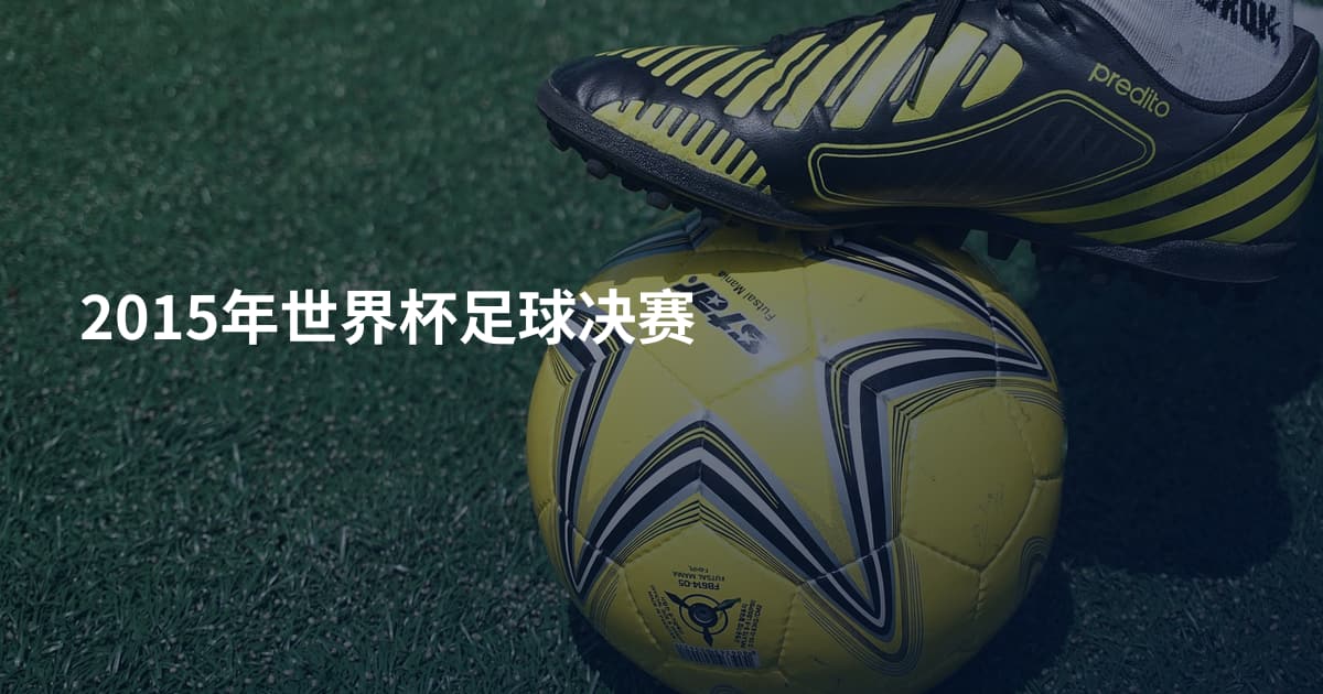 2015年世界杯足球决赛