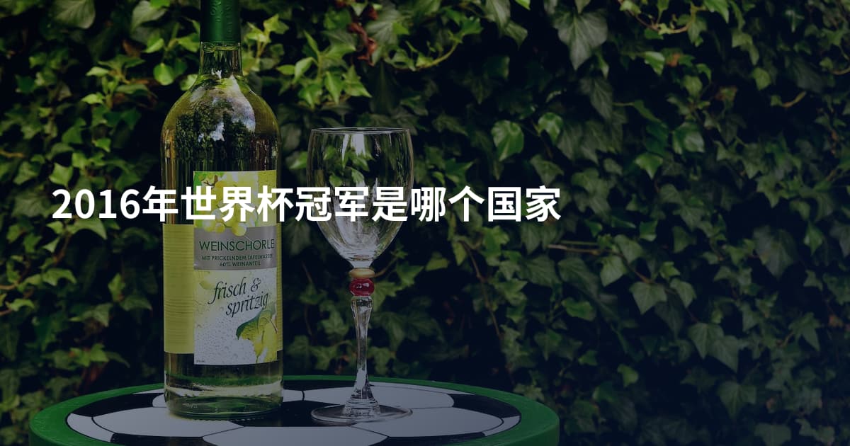 2016年世界杯冠军是哪个国家