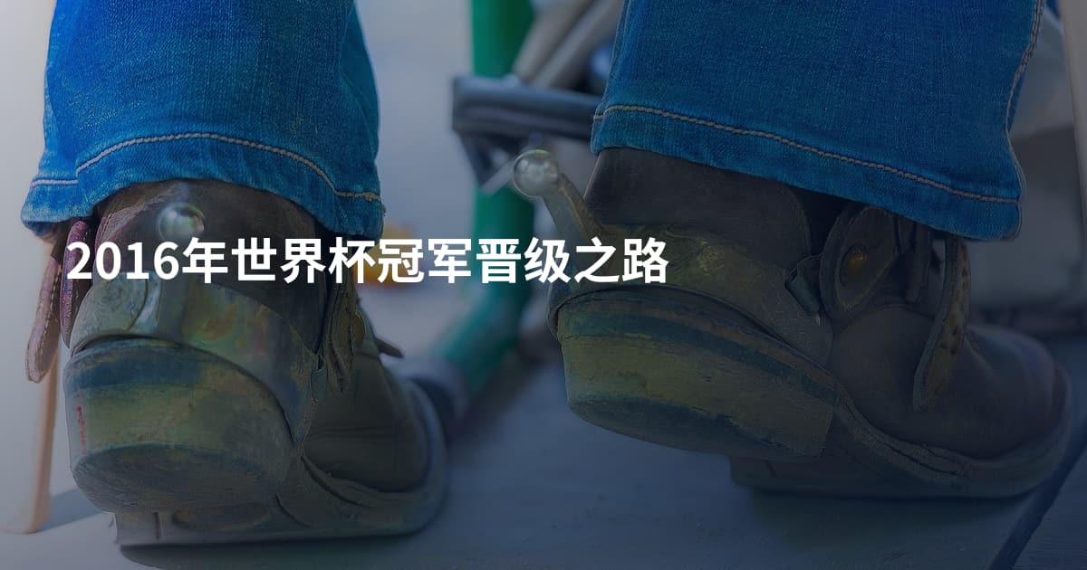 2016年世界杯冠军晋级之路
