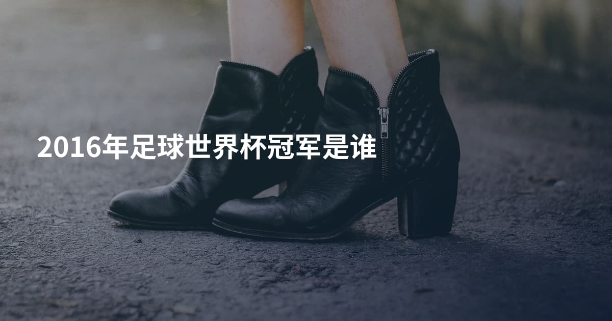 2016年足球世界杯冠军是谁