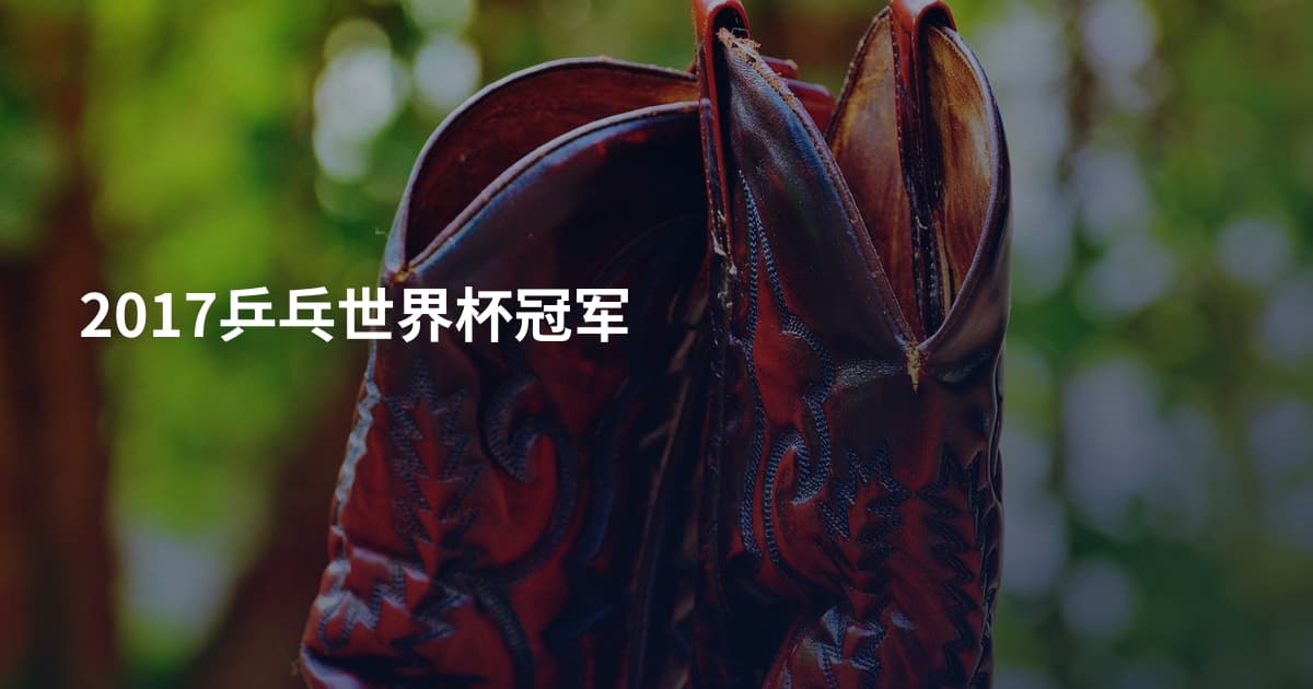 2017乒乓世界杯冠军