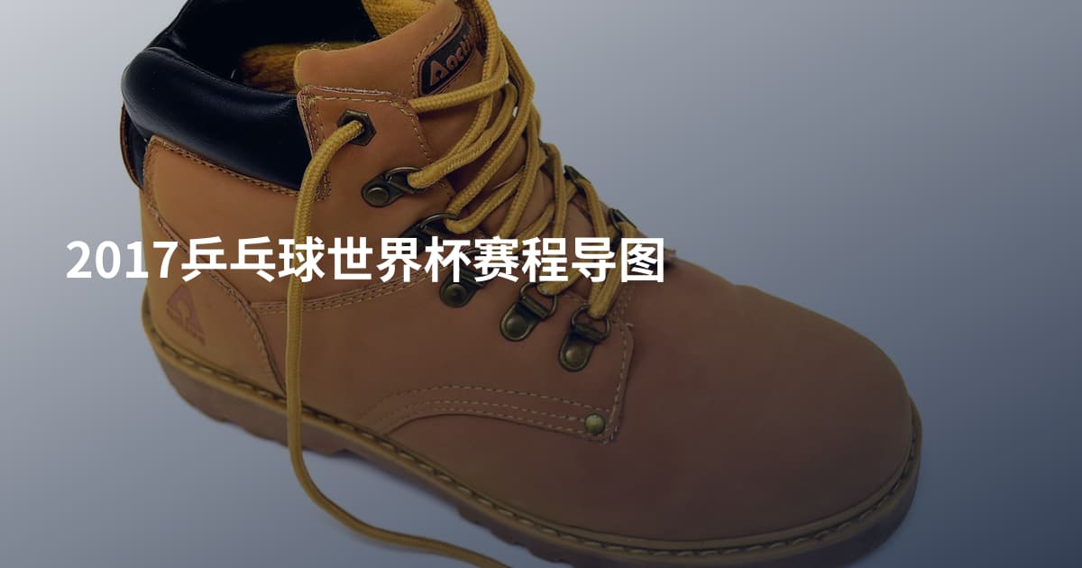 2017乒乓球世界杯赛程导图