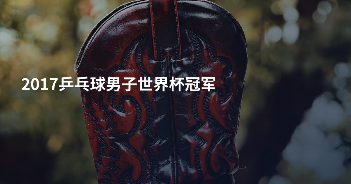 2017乒乓球男子世界杯冠军